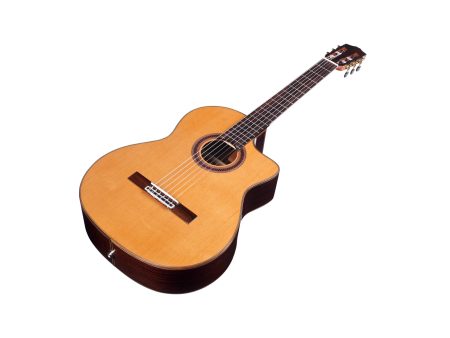Tapa Solida CEDAR Cuerpo ROSEWOOD|Fishman Presys Blend - Image 3