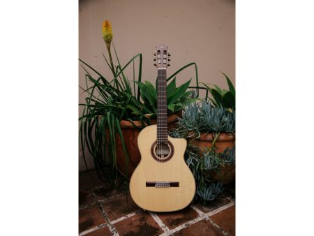 Tapa Solida SPRUCE+ROSEWOOD |Fishman Presys Blend - Image 10