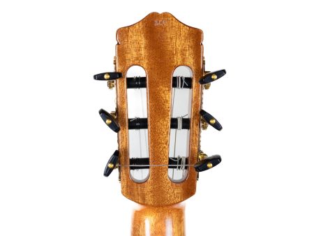 Tapa Solida SPRUCE+ROSEWOOD |Fishman Presys Blend - Image 5