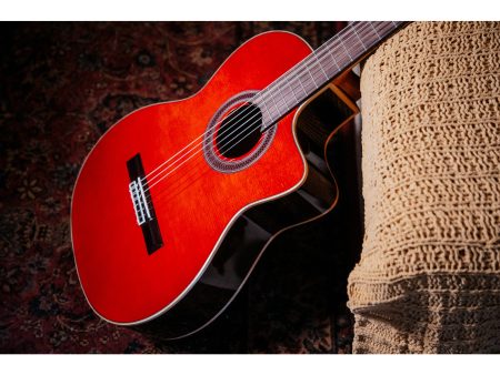 Tapa Solida SPRUCE+ROSEWOOD |Fishman Presys Blend - Image 7