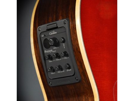 Tapa Solida SPRUCE+ROSEWOOD |Fishman Presys Blend - Image 8