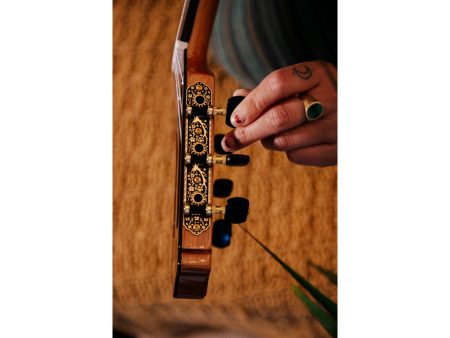 Tapa Solida SPRUCE+ROSEWOOD |Fishman Presys Blend - Image 10