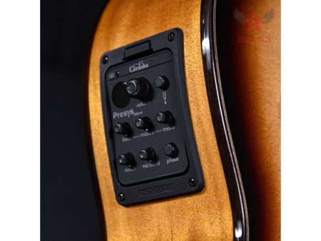 Tapa Solida SPRUCE+CYPRESS|Fishman Presys Blend - Image 9