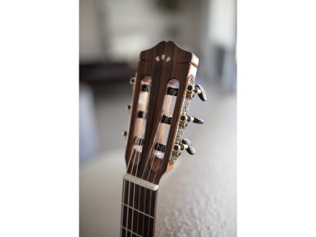 Tapa Solida SPRUCE+ZIRICOTE |Fishman Presys Blend - Image 7