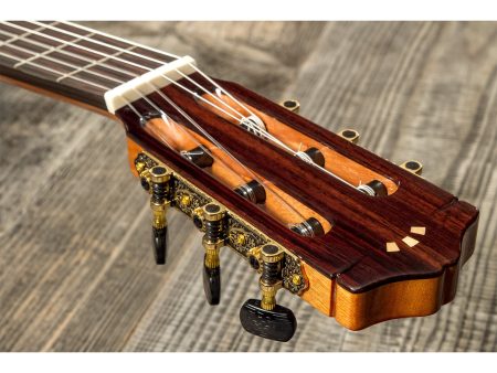 Tapa Solida SPRUCE+ZIRICOTE |Fishman Presys Blend - Image 5