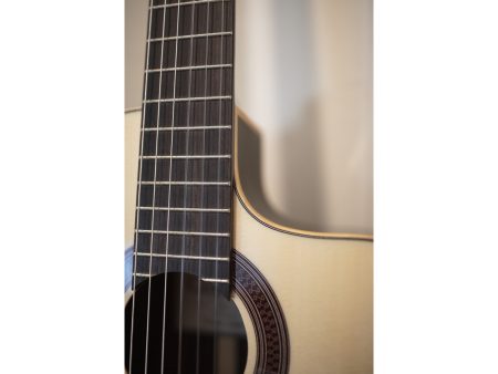 Tapa Solida SPRUCE+ZIRICOTE |Fishman Presys Blend - Image 10