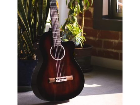 Tapa Solida SPRUCE|Mastil SLIM|Fishman Presys VT - Image 10