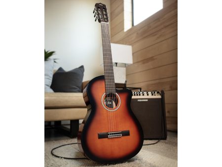 Tapa Solida SPRUCE|Mastil SLIM|Fishman Presys VT - Image 7