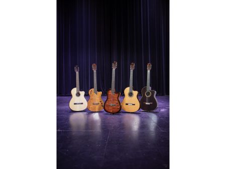 Tapa Solida SPRUCE|Mastil SLIM|Fishman Presys VT - Image 10
