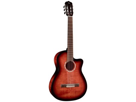 Tapa Solida SPRUCE|Mastil SLIM|Fishman Presys VT - Image 6
