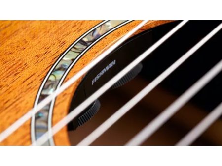 Tapa Solida SPRUCE|Mastil SLIM|Fishman Presys VT - Image 8