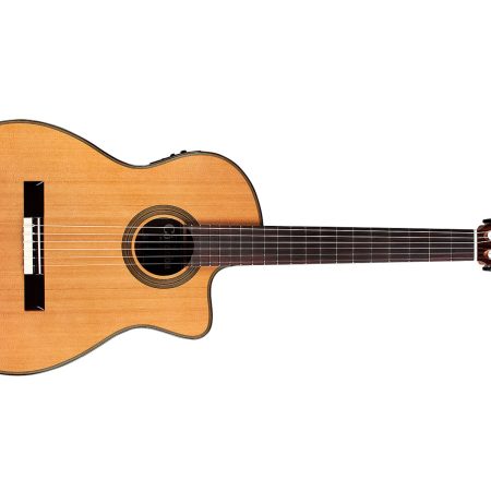 Tapa Solida CEDAR |Mastil SLIM| Fishman Presys
