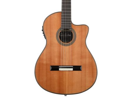 Tapa Solida CEDAR |Mastil SLIM| Fishman Presys - Image 6