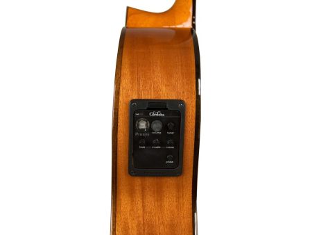 Tapa Solida CEDAR |Mastil SLIM| Fishman Presys - Image 7
