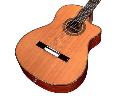 Tapa Solida CEDAR |Mastil SLIM| Fishman Presys - Image 3
