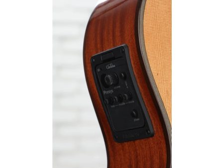 Tapa Solida CEDAR |Mastil SLIM| Fishman Presys - Image 8