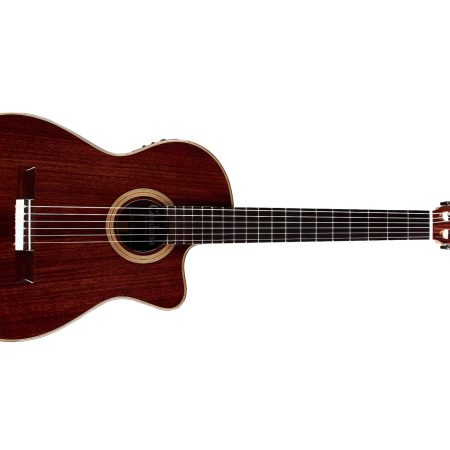 Tapa Solida SPRUCE c/ROSEWOOD|Mastil SLIM|Fishman Blend