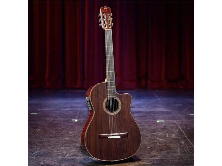 Tapa Solida SPRUCE c/ROSEWOOD|Mastil SLIM|Fishman Blend - Image 7
