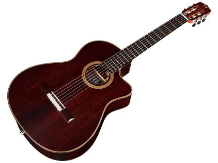 Tapa Solida SPRUCE c/ROSEWOOD|Mastil SLIM|Fishman Blend - Image 6