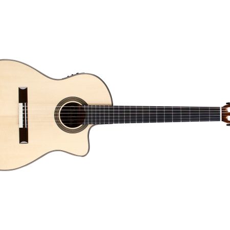 Tapa Solida SPRUCE+MAPLE|Mastil SLIM|Fishman Blend