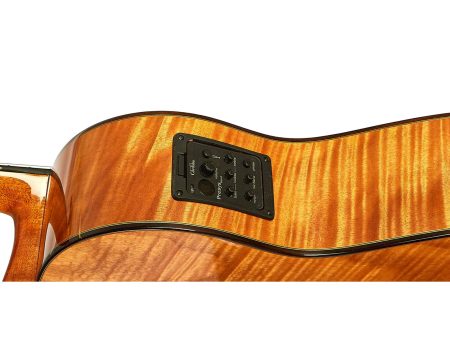 Tapa Solida SPRUCE+MAPLE|Mastil SLIM|Fishman Blend - Image 7