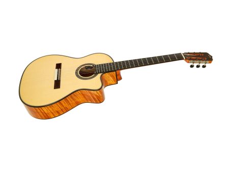 Tapa Solida SPRUCE+MAPLE|Mastil SLIM|Fishman Blend - Image 6