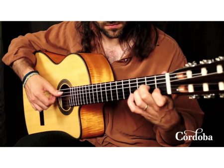 Tapa Solida SPRUCE+MAPLE|Mastil SLIM|Fishman Blend - Image 8