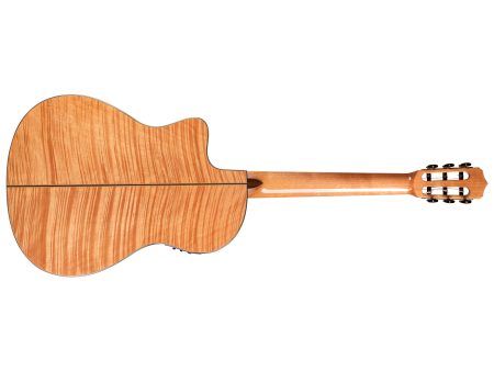 Tapa Solida SPRUCE+MAPLE|Mastil SLIM|Fishman Blend - Image 2
