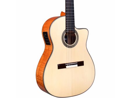 Tapa Solida SPRUCE+MAPLE|Mastil SLIM|Fishman Blend - Image 5