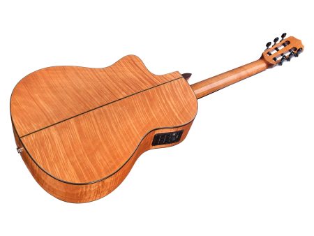 Tapa Solida SPRUCE+MAPLE|Mastil SLIM|Fishman Blend - Image 4