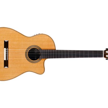 Tapa Solida CEDAR+ROSEWOOD | Mastil SLIM|Fishman Blend