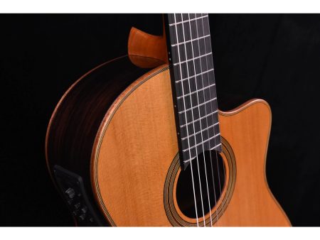 Tapa Solida CEDAR+ROSEWOOD | Mastil SLIM|Fishman Blend - Image 9