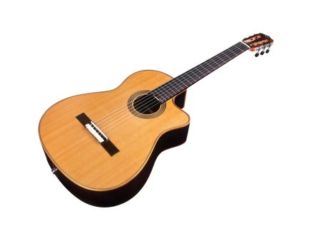 Tapa Solida CEDAR+ROSEWOOD | Mastil SLIM|Fishman Blend - Image 3