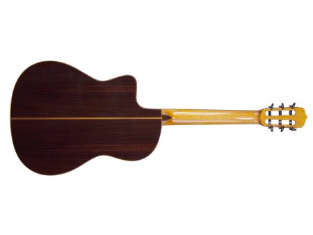 Tapa Solida CEDAR+ROSEWOOD | Mastil SLIM|Fishman Blend - Image 2