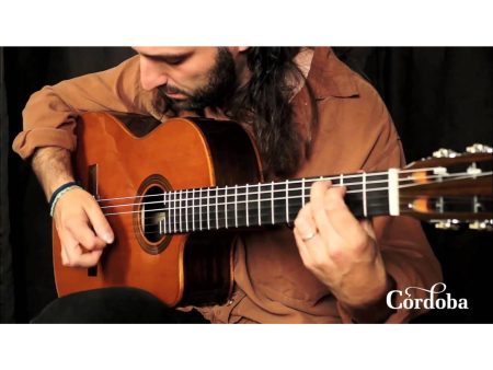 Tapa Solida CEDAR+ROSEWOOD | Mastil SLIM|Fishman Blend - Image 10