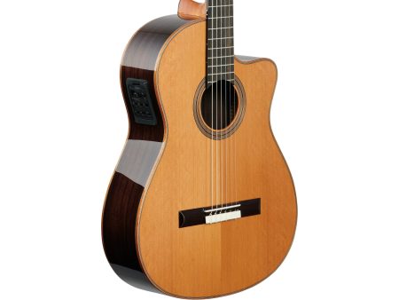 Tapa Solida CEDAR+ROSEWOOD | Mastil SLIM|Fishman Blend - Image 5