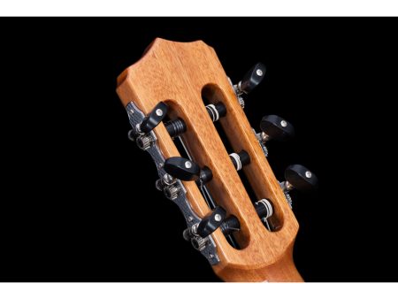 Tapa Solida CEDAR+ROSEWOOD | Mastil SLIM|Fishman Blend - Image 8