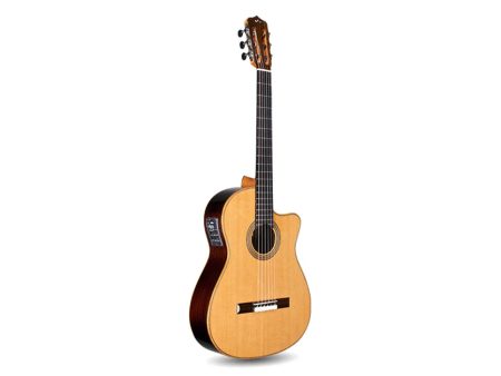Tapa Solida CEDAR+ROSEWOOD | Mastil SLIM|Fishman Blend - Image 6