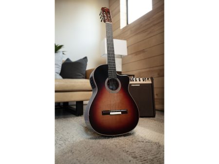 Tapa Solida CEDAR+ROSEWOOD | Mastil SLIM|Fishman Blend - Image 7