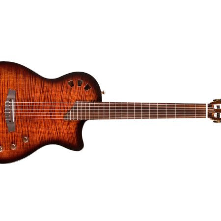 Tapa Solida SPRUCE/Flamed MAPLE | Fishman Stage Pickup