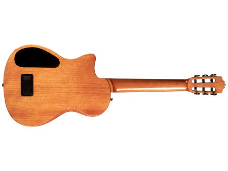 Tapa Solida CEDAR | Fishman Stage Pickup - Image 2