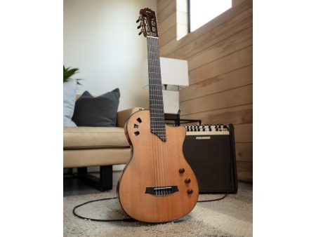 Tapa Solida CEDAR | Fishman Stage Pickup - Image 6