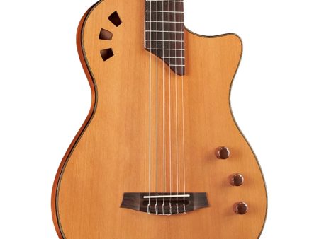 Tapa Solida CEDAR | Fishman Stage Pickup - Image 7