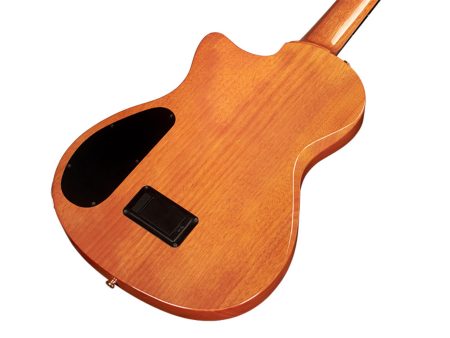 Tapa Solida CEDAR | Fishman Stage Pickup - Image 4