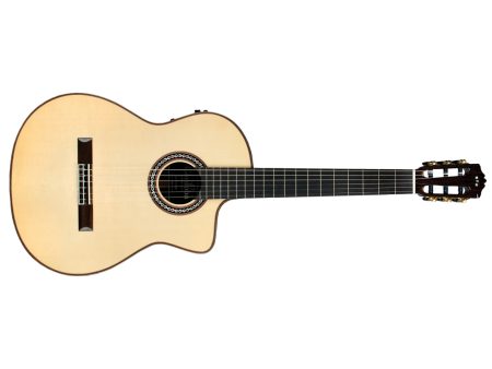 Toda Solida | SPRUCE+ROSEWOOD|Fishman PreFix ProBlend