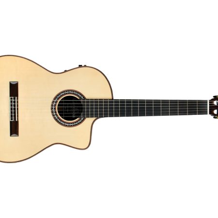 Toda Solida | SPRUCE+ROSEWOOD|Fishman PreFix ProBlend