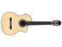 Toda Solida | SPRUCE+ROSEWOOD|Fishman PreFix ProBlend
