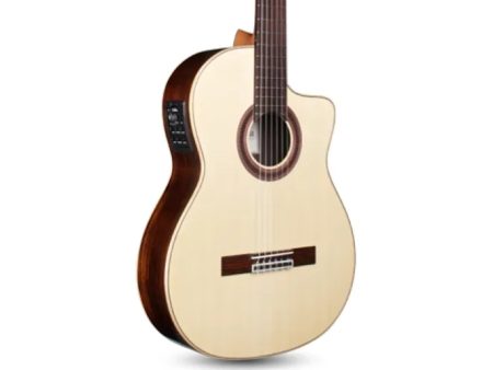 Toda Solida | SPRUCE+ROSEWOOD|Fishman PreFix ProBlend - Image 4