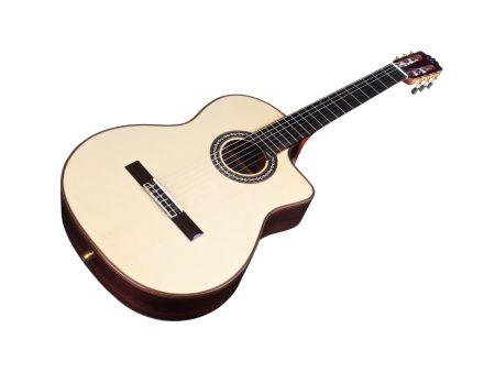 Toda Solida | SPRUCE+ROSEWOOD|Fishman PreFix ProBlend - Image 3