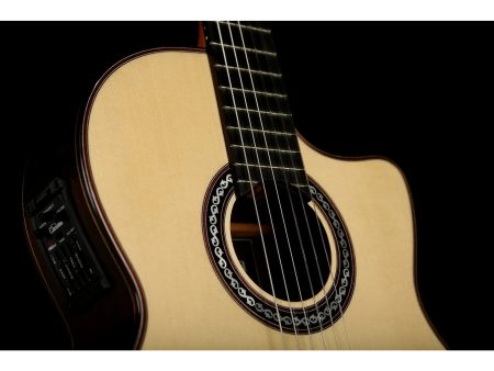 Toda Solida | SPRUCE+ROSEWOOD|Fishman PreFix ProBlend - Image 5